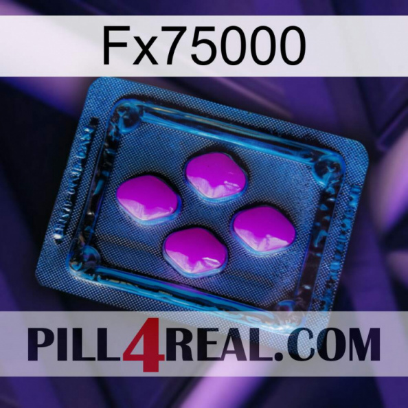 Fx75000 04.jpg
